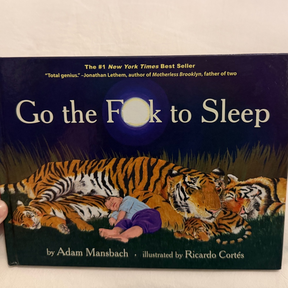 Go the F**k to Sleep Book